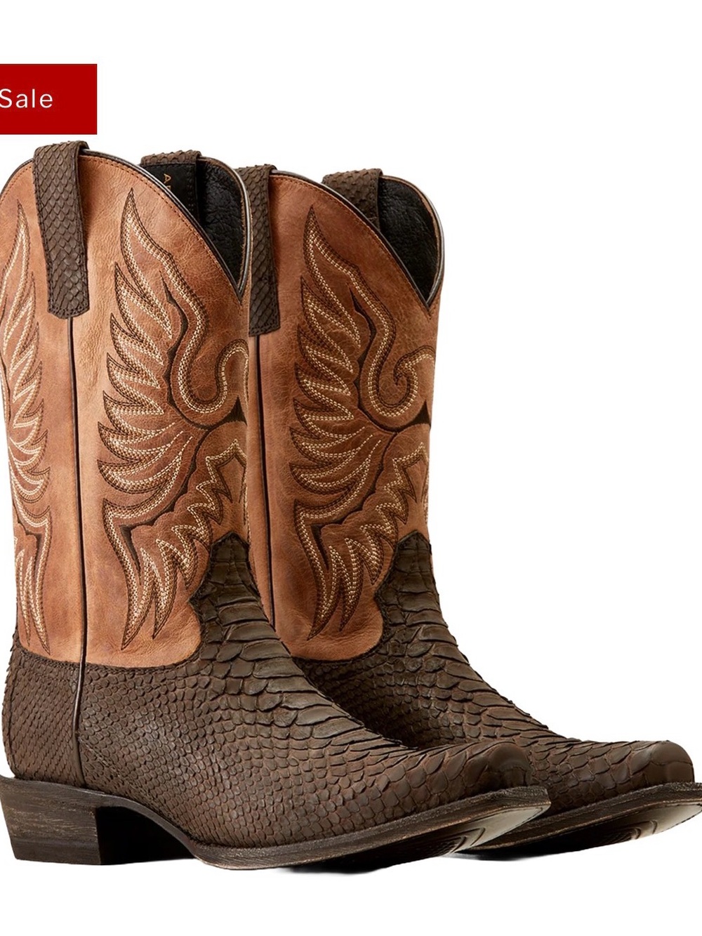 Ariat men’s circuit high stepper Pythons square toe chocolate boots